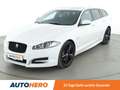 Jaguar XF 3.0 D V6 Aut.*NAVI*BI-XENON*ACC*CAM*PDC*SHZ* Weiß - thumbnail 1