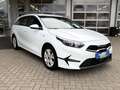 Kia Ceed / cee'd 1,6 Vision Mild Hybrid 1.Hd Navi Kamera GRA Weiß - thumbnail 3