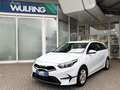 Kia Ceed / cee'd 1,6 Vision Mild Hybrid 1.Hd Navi Kamera GRA Weiß - thumbnail 1