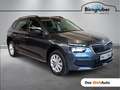 Skoda Kamiq Style TSI DSG Grau - thumbnail 1
