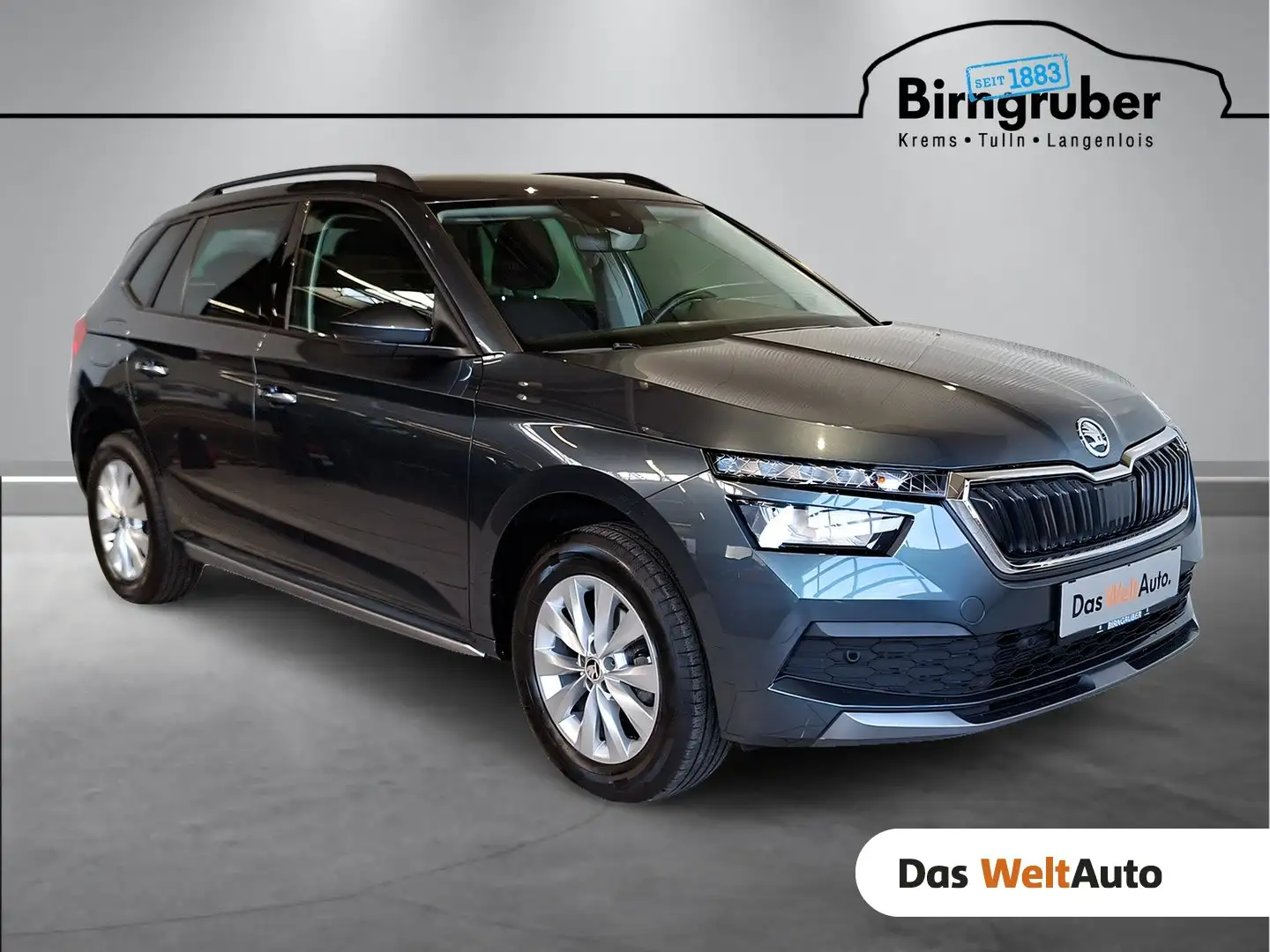 Skoda Kamiq Style TSI DSG Grau - 1