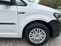 Volkswagen Caddy PKW 1.0TSI 1HAND*Klima* Blanc - thumbnail 16
