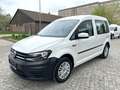 Volkswagen Caddy PKW 1.0TSI 1HAND*Klima* Blanc - thumbnail 1