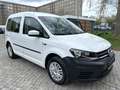 Volkswagen Caddy PKW 1.0TSI 1HAND*Klima* Blanc - thumbnail 3