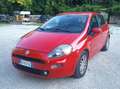 Fiat Punto Punto III 2012 5p 1.3 mjt II 16v Lounge eco s Rosso - thumbnail 5