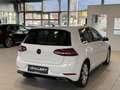 Volkswagen Golf Highline 1,5 TSI DSG*R-Line*ACC*PDC* Blanc - thumbnail 5