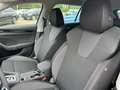 Skoda Octavia 1,5 TSI DSG Selection Combi + AHK + LED Matrix + K Gris - thumbnail 18