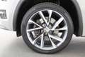 Skoda Kodiaq 2.0 TDI DSG 4x4 SPORTLINE Grau - thumbnail 10