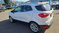 Ford EcoSport 1.0 EcoBoost 125 CV Start&Stop Titanium Bianco - thumbnail 6