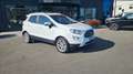 Ford EcoSport 1.0 EcoBoost 125 CV Start&Stop Titanium Bianco - thumbnail 2