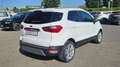 Ford EcoSport 1.0 EcoBoost 125 CV Start&Stop Titanium Bianco - thumbnail 4