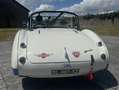 Austin-Healey 100 100/4 BN2 Weiß - thumbnail 3