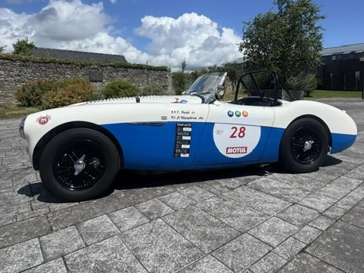 Austin-Healey 100 100/4 BN2 Weiß - 1