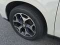Subaru Forester 2,0i Style AWD Aut. Weiß - thumbnail 16