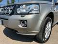 Land Rover Freelander Freelander 2 SE 2.2 TD4 150cv 4x4 SW Bronzo - thumbnail 11