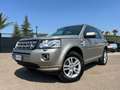 Land Rover Freelander Freelander 2 SE 2.2 TD4 150cv 4x4 SW Bronzo - thumbnail 1