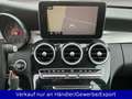 Mercedes-Benz C 250 C 250d T Avantgarde d 4Matic Automatik Gris - thumbnail 13