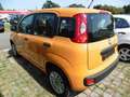 Fiat Panda 1.2 Start Orange - thumbnail 11