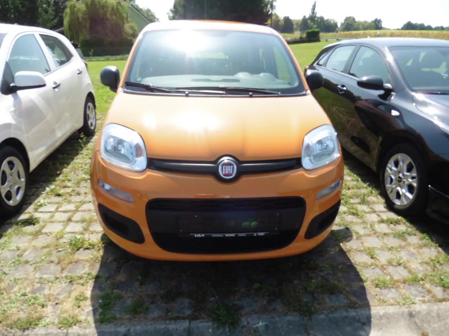 Fiat Panda 1.2 Start Orange - 2