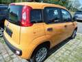 Fiat Panda 1.2 Start Orange - thumbnail 12