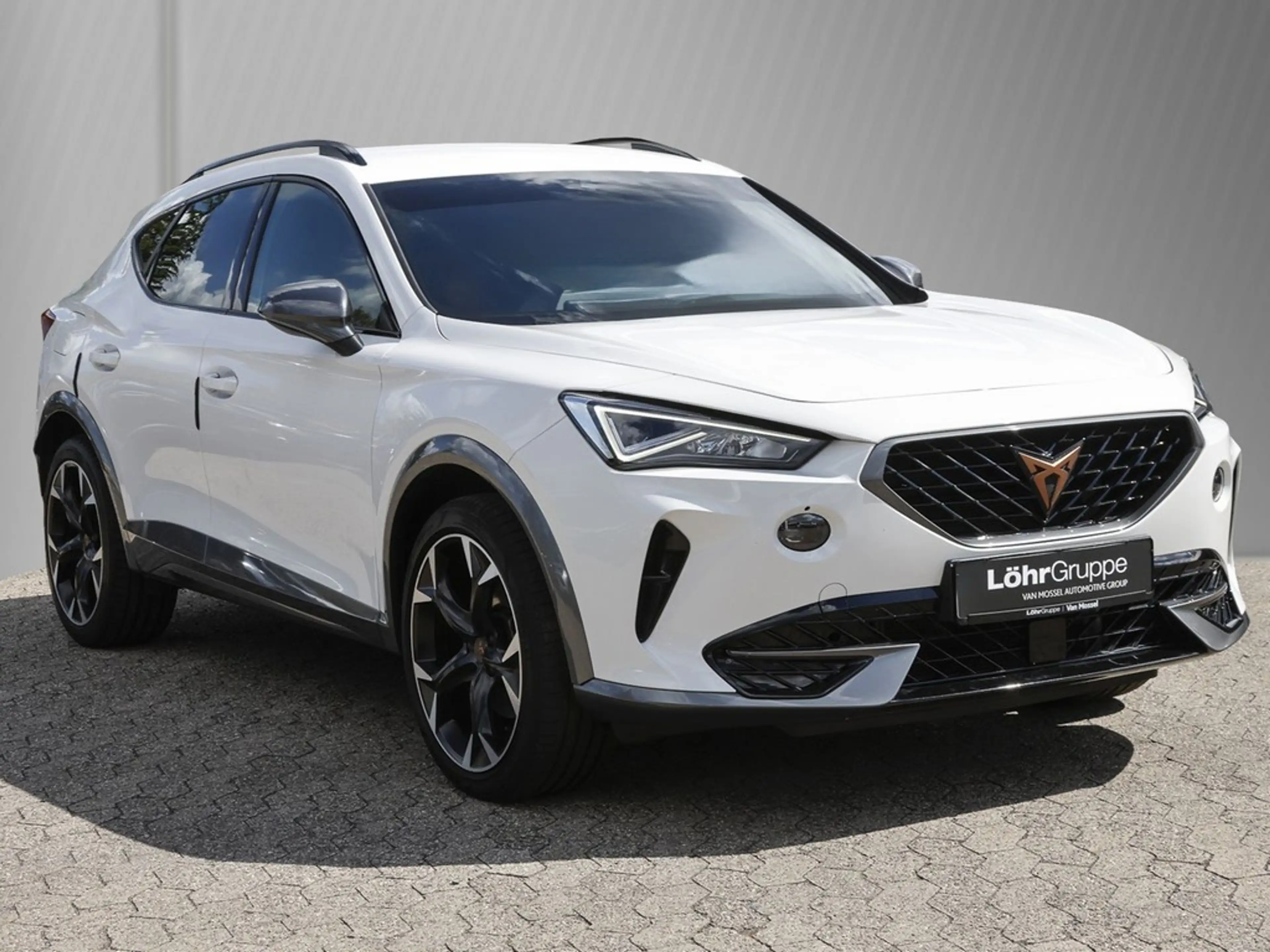 CUPRA Formentor 2.0 TDI 4Drive DSG AHK, Kamera, Sitzheizung — photo 3