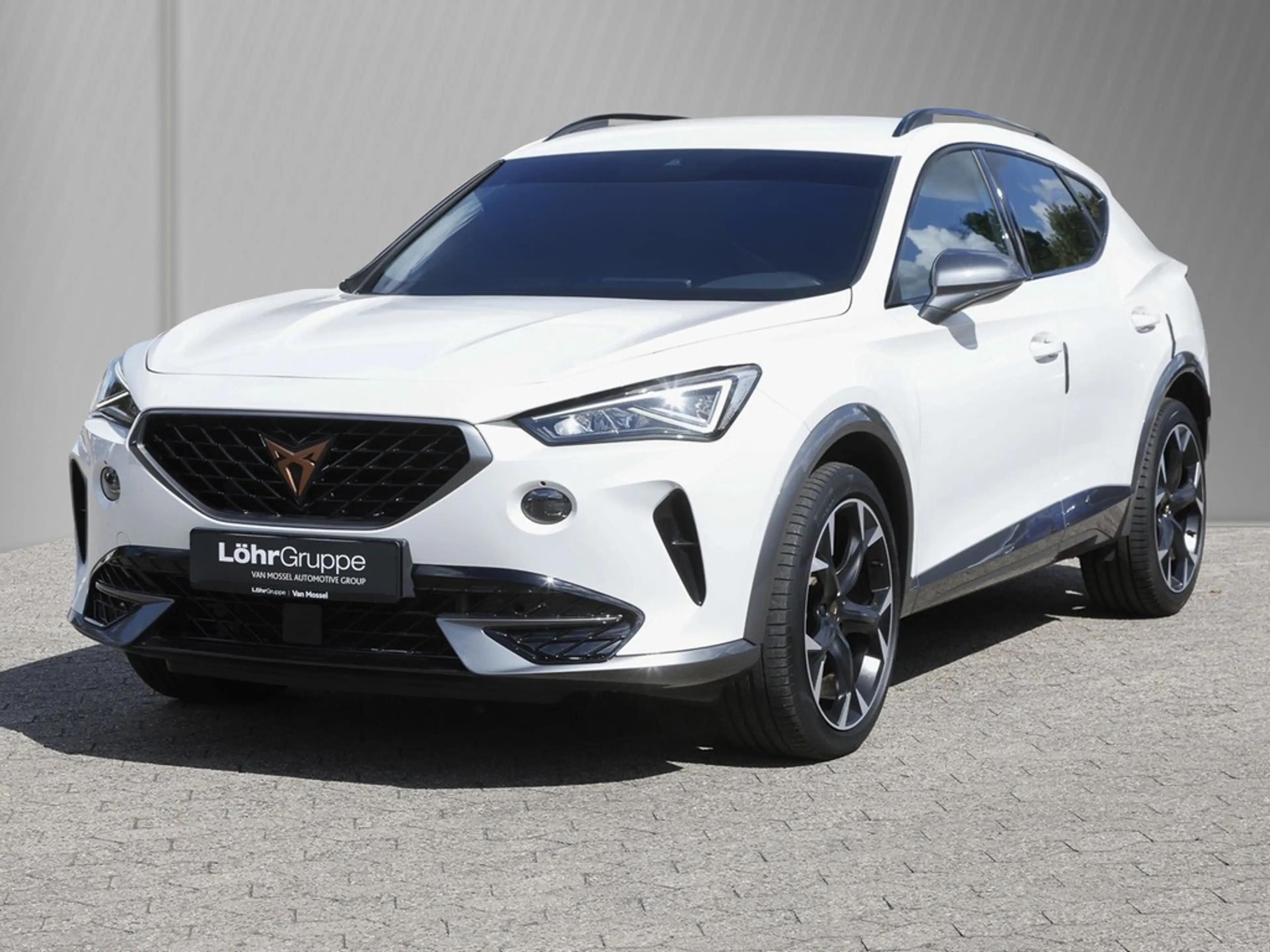 CUPRA Formentor 2.0 TDI 4Drive DSG AHK, Kamera, Sitzheizung — photo 2