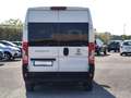 Fiat Ducato 2.3 mjt 150cv 9 POSTI - H2 L2 Blanco - thumbnail 5