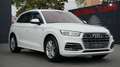 Audi Q5 50 TFSi e PLUG-IN QU.*S-LINE*B&O*ACC*MASSAGE Weiß - thumbnail 41