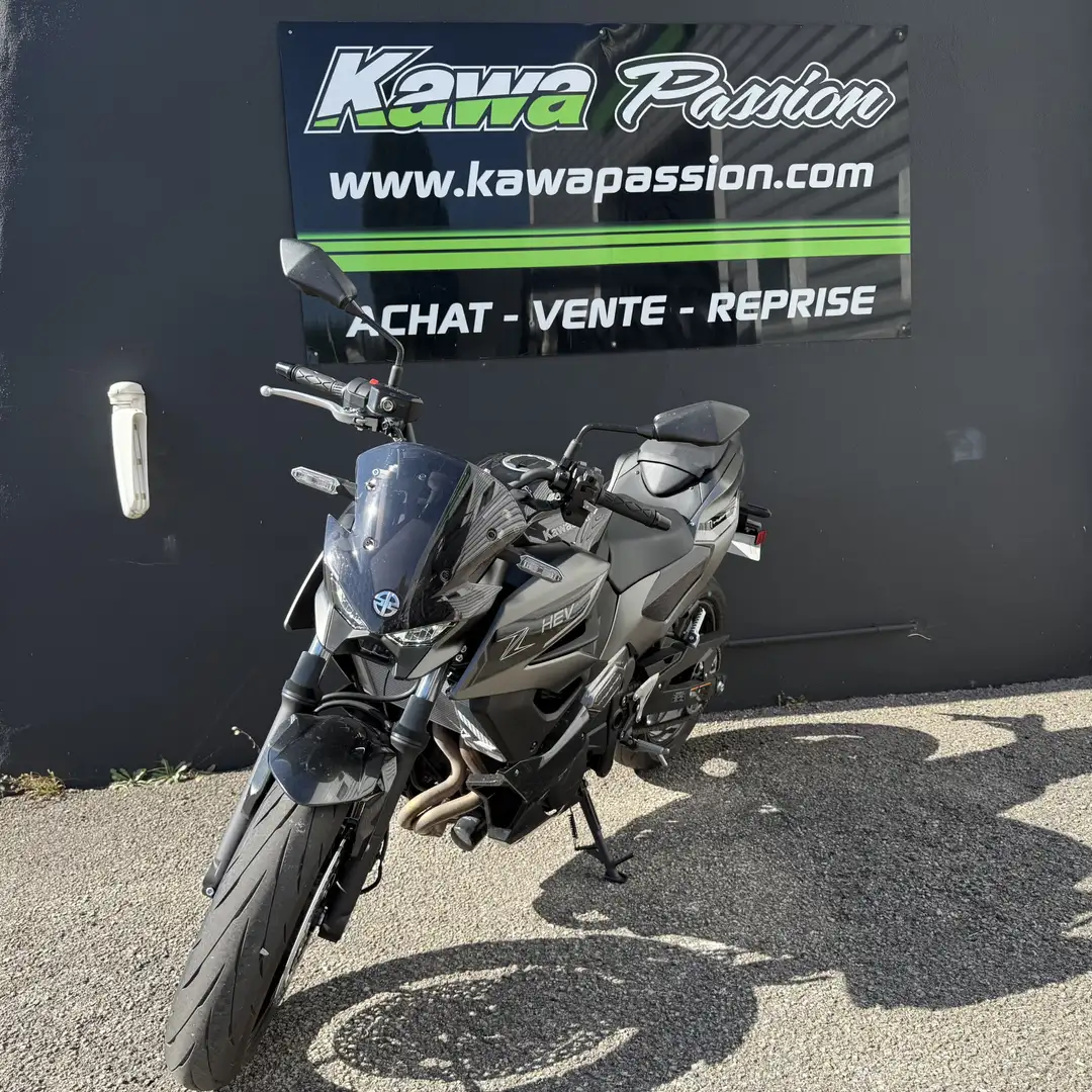 Kawasaki Z7 Hybrid Grijs - 1