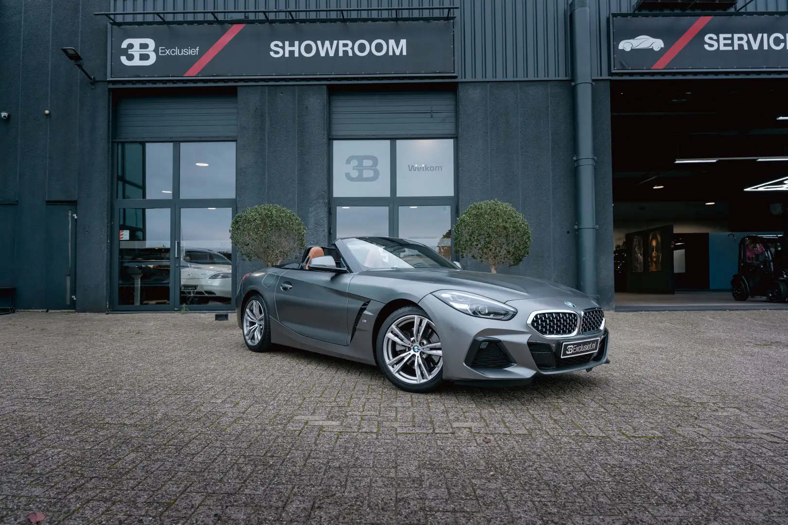 BMW Z4 Roadster sDrive20i High Executive Edition Grigio - 2