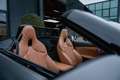 BMW Z4 Roadster sDrive20i High Executive Edition Grigio - thumbnail 5