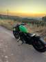 Harley-Davidson Sportster 1200 Verde - thumbnail 5