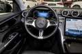 Mercedes-Benz C 300 C 300 4M Avantgarde 9G/Night/Distronic/360°/AHK Grau - thumbnail 11