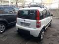 Fiat Panda Panda 1.2 4x4 Climbing - thumbnail 4