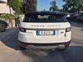 Land Rover Range Rover Evoque Range Rover Evoque  2.0 td4 SE Dynamic 150cv auto Bianco - thumbnail 4