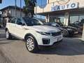 Land Rover Range Rover Evoque Range Rover Evoque  2.0 td4 SE Dynamic 150cv auto Bianco - thumbnail 1