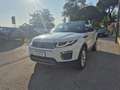 Land Rover Range Rover Evoque Range Rover Evoque  2.0 td4 SE Dynamic 150cv auto Bianco - thumbnail 7