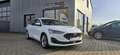 Ford Focus Turnier 1,5 Facelift *AHK-NAVI-RFK-APP-Connect* CO - thumbnail 2
