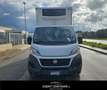 Fiat Ducato 35 2.3 MJT 130CV PL Cabinato Maxi FRIGO FRCX -20° Bianco - thumbnail 2