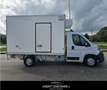 Fiat Ducato 35 2.3 MJT 130CV PL Cabinato Maxi FRIGO FRCX -20° Bianco - thumbnail 4