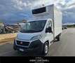 Fiat Ducato 35 2.3 MJT 130CV PL Cabinato Maxi FRIGO FRCX -20° Bianco - thumbnail 1