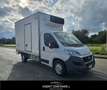 Fiat Ducato 35 2.3 MJT 130CV PL Cabinato Maxi FRIGO FRCX -20° Bianco - thumbnail 3