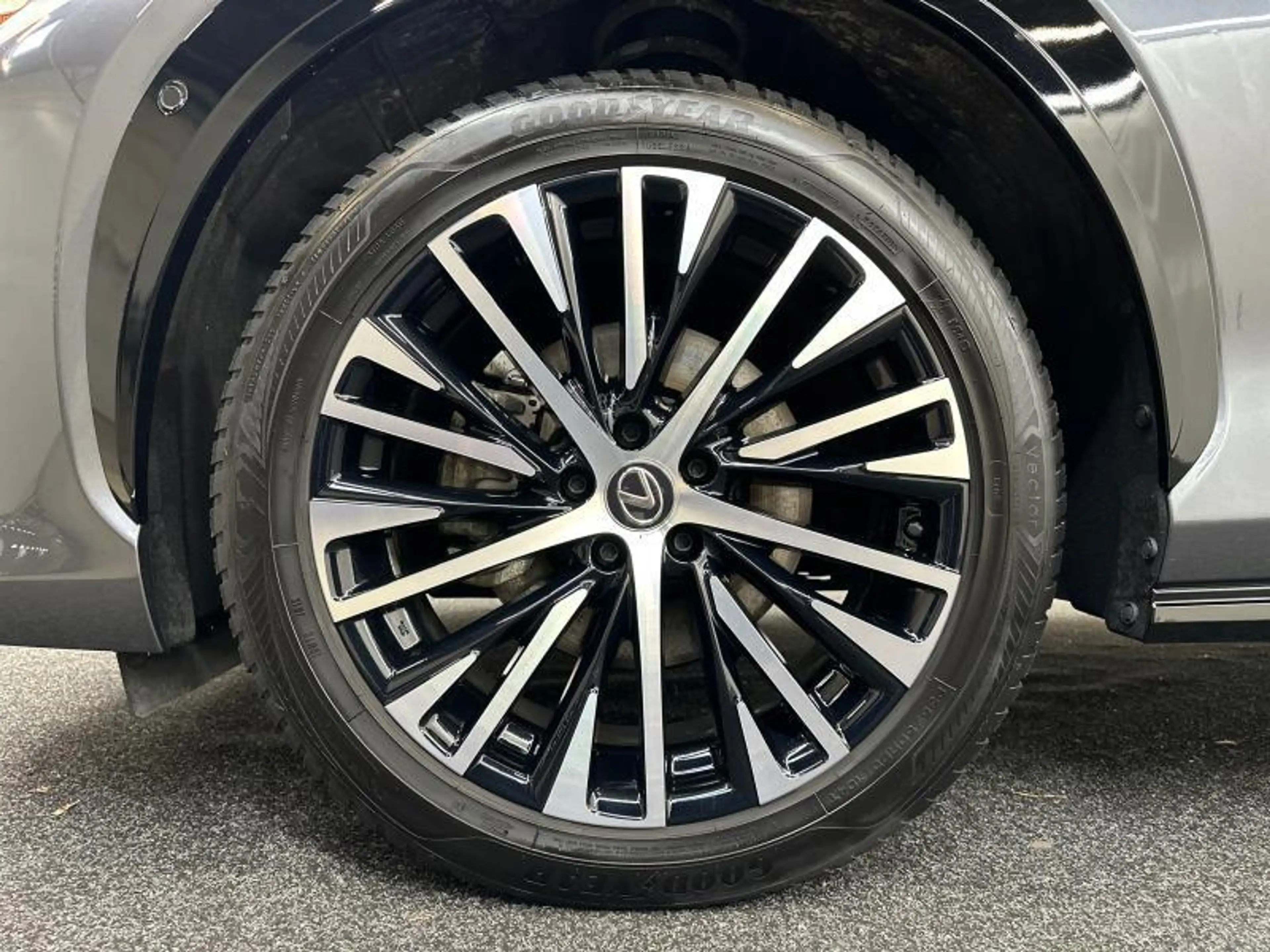 Lexus RZ Privilege Line AWD — photo 13
