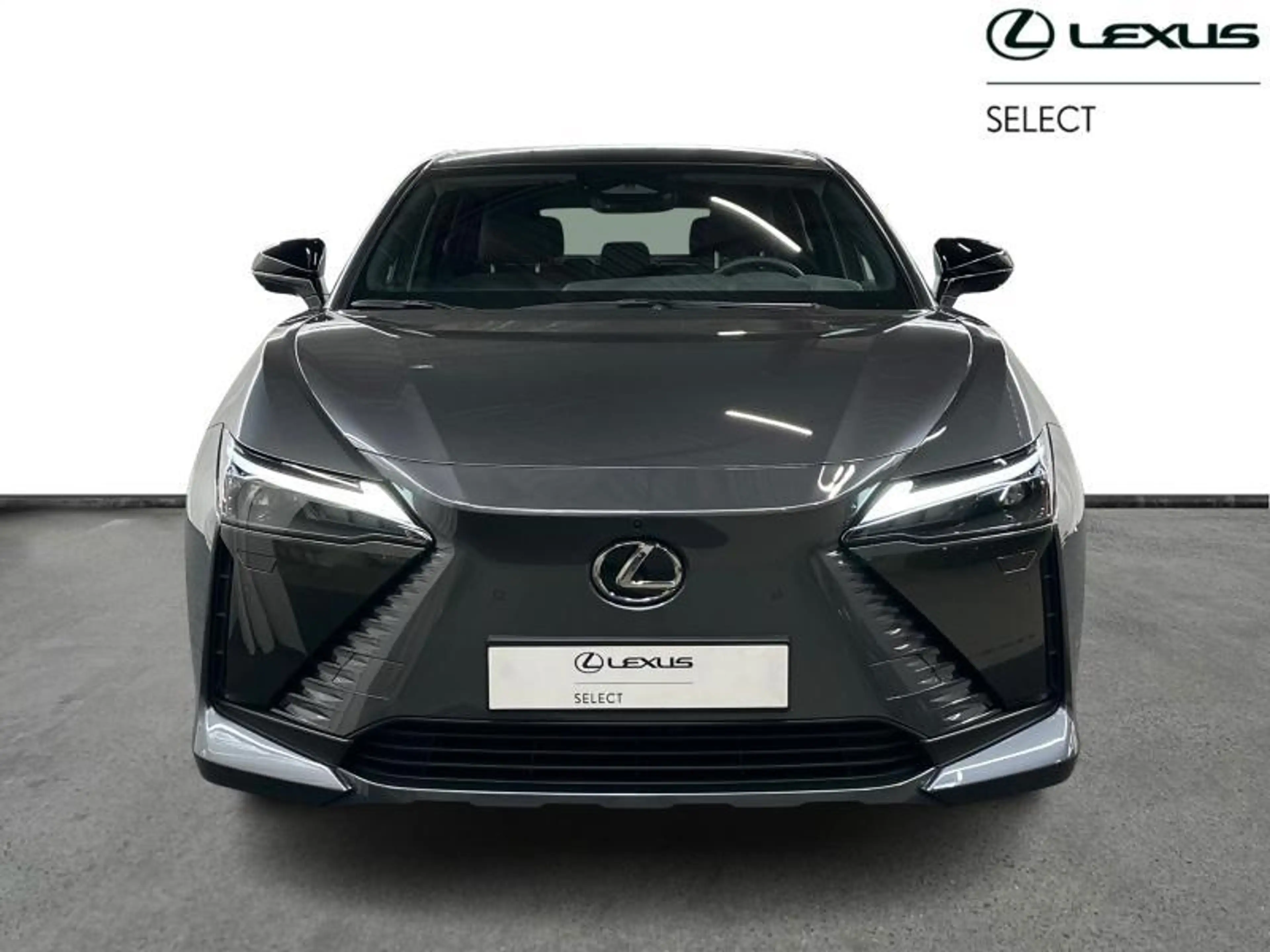 Lexus RZ Privilege Line AWD — photo 5