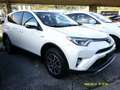 Toyota RAV 4 Hybrid Edition Weiß - thumbnail 2