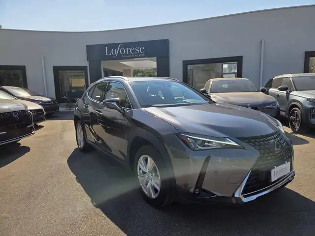 Lexus UX 250h UX Hybrid Business