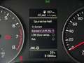 Kia Rio 1,2 DPI Silber 4-Zylinder CarPlay Kamera PDC Lenkrad/Sitzheizung Service+Pickerl NEU Grau - thumbnail 24