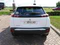 Peugeot 2008 1.5 BlueHDi Allure EAT8 NAVI CAMERA ** 11999 NETTO Blanc - thumbnail 8