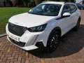 Peugeot 2008 1.5 BlueHDi Allure EAT8 NAVI CAMERA ** 11999 NETTO Blanc - thumbnail 4