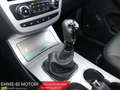EVO Cross4 Evo Cross4 Cross 4 Nuovo Pick Up Blu/Azzurro - thumbnail 7